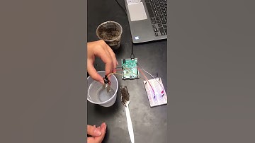 ENGR 100 Lab 2 Group 18 Video