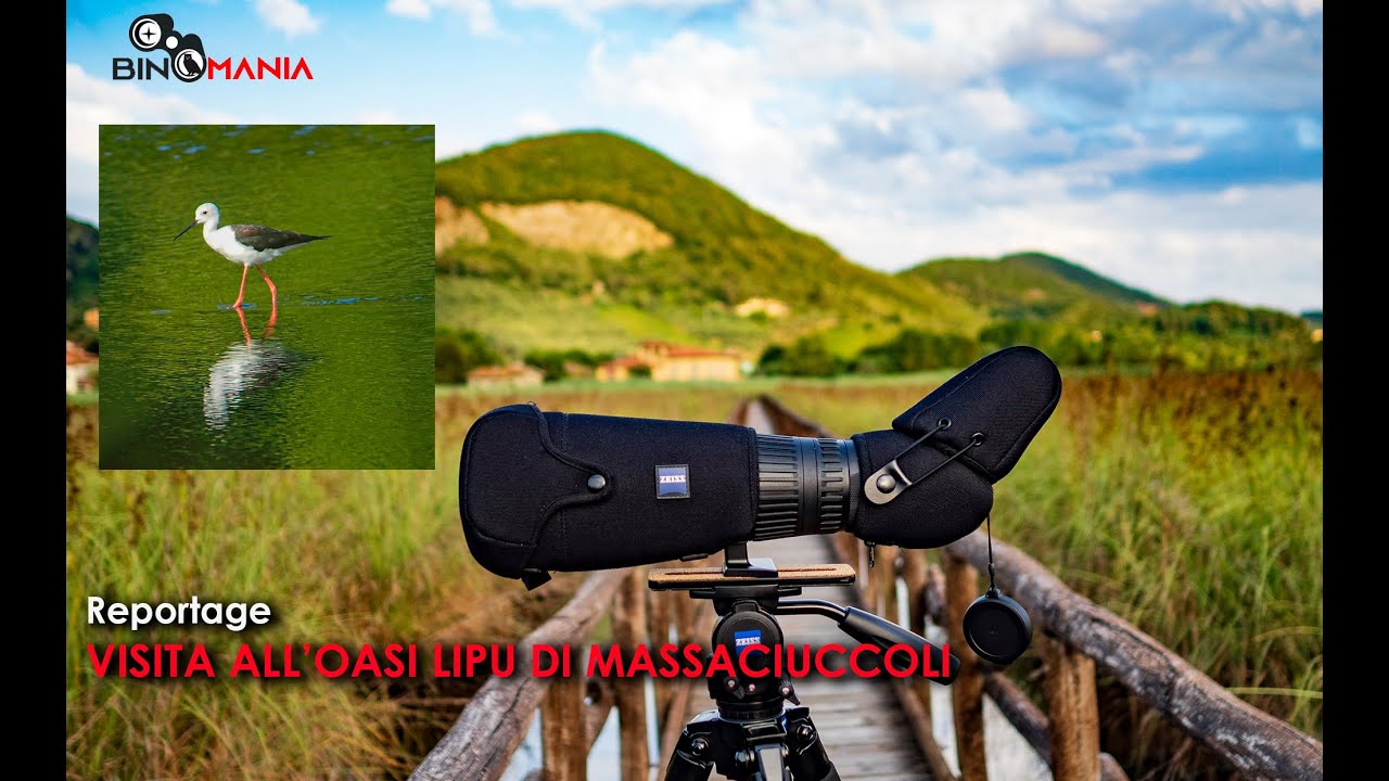 Visita all'Oasi di Massaciuccoli - Birdwatching in Toscana