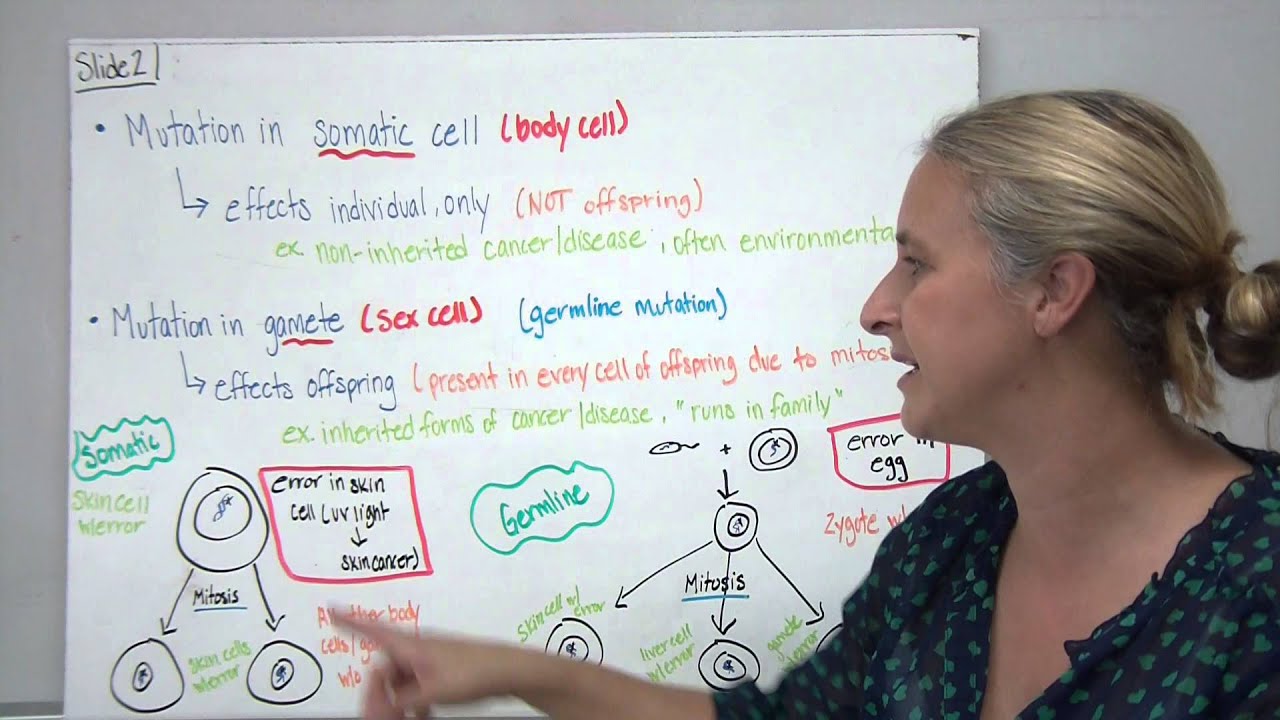 Genetic Mutations - YouTube