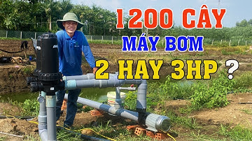 Hướng Dẫn Chọn Máy Bơm Cho Hệ Thống Tưới 1200 Cây Mít | Vnplant