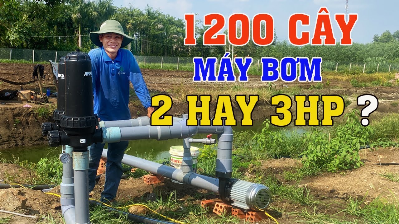 Hướng Dẫn Chọn Máy Bơm Cho Hệ Thống Tưới 1200 Cây Mít | Vnplant