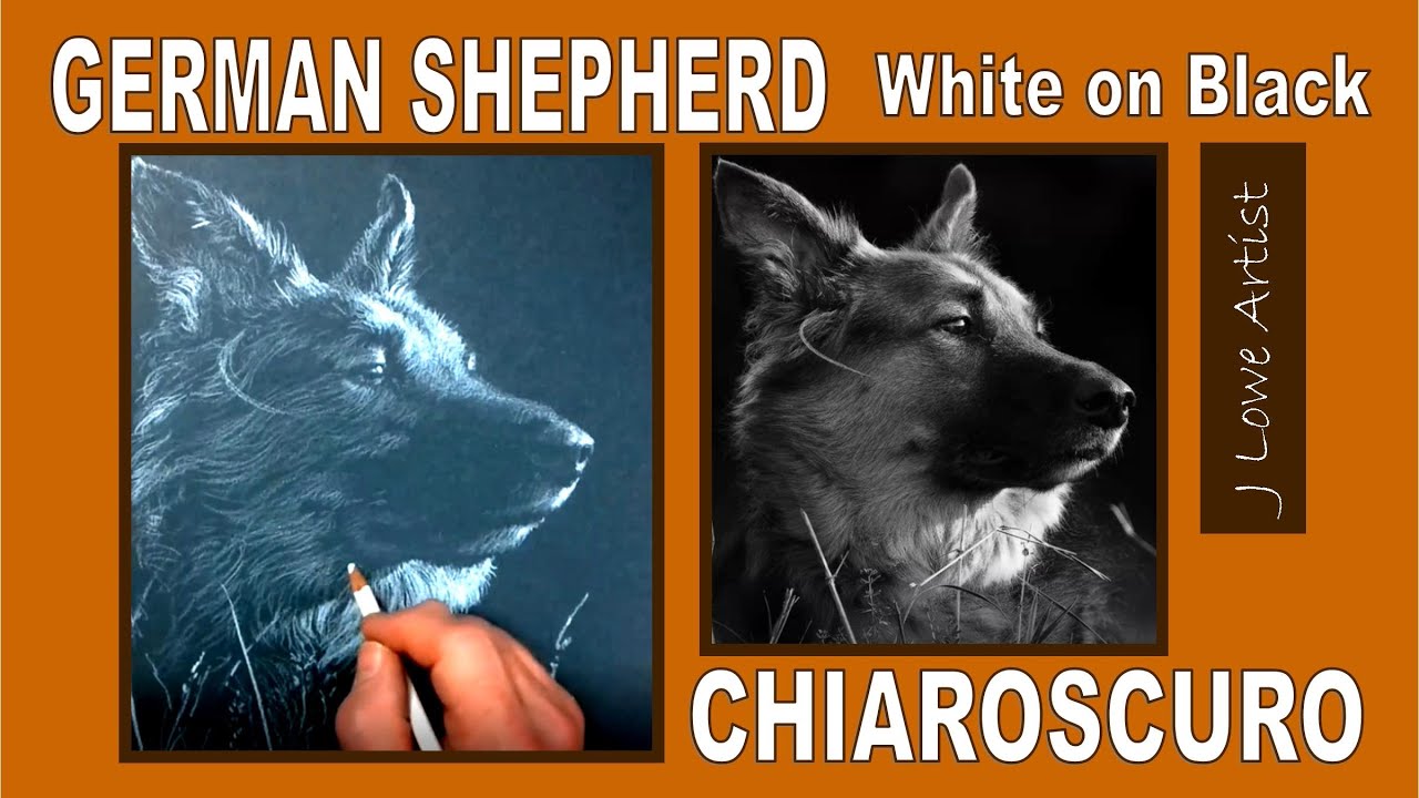 DRAWING ON BLACK PAPER WITH WHITE PENCIL TUTORIAL: Chiaroscuro Pencil ...
