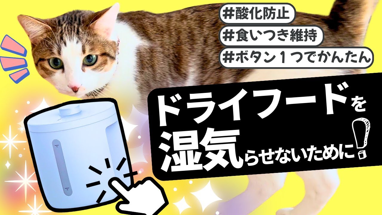 ドライフードをあげている飼い主さん必見！キャットフードの酸化防止に「真空フードストッカー」を紹介