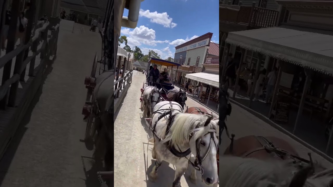 A HORSE-DRAWN CARRIAGE RIDE