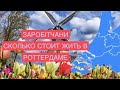 НИДЕРЛАНДЫ ЗАРОБІТЧАНИ /СКОЛЬКО СТОИТ ЖИЗНЬ В РОТТЕРДАМЕ /История Оли из Украины.