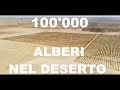 100 MILA ALBERI DEL DESERTO | La Paulownia