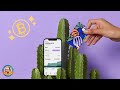 Nuri Bank - La Banca Tedesca Crypto Friendly