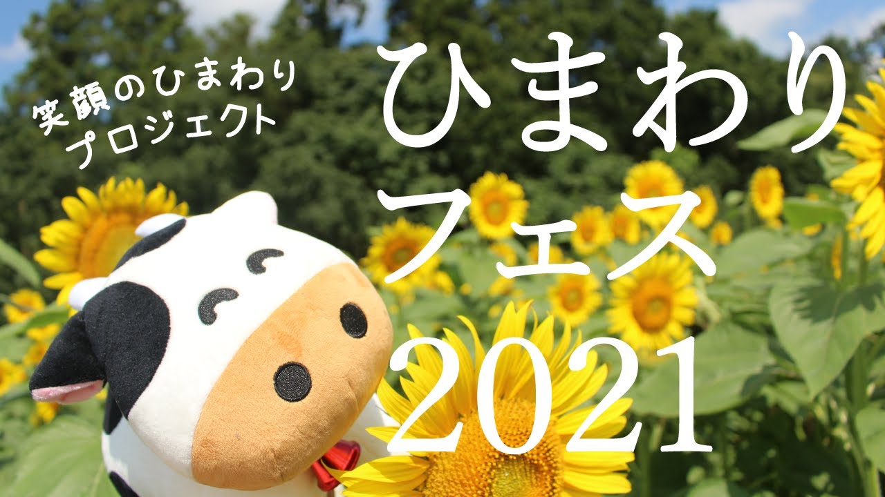ひまわりフェス21 笑顔満開 夏全開 Youtube ひまわりフェス21 笑顔満開 夏全開 Youtube