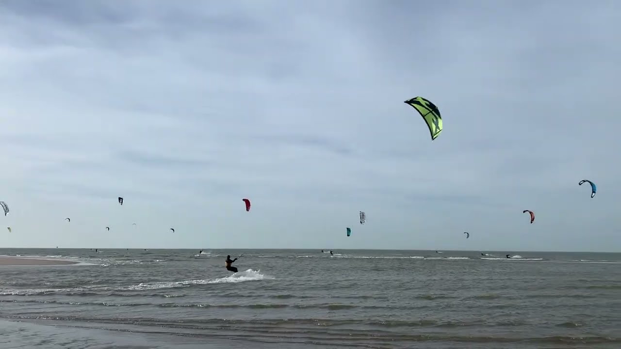 Kite at Slufter, Maasvlakte - Feb 2021