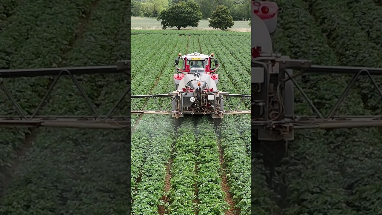 "This Year’s Crops Are Struggling – Here’s Why"