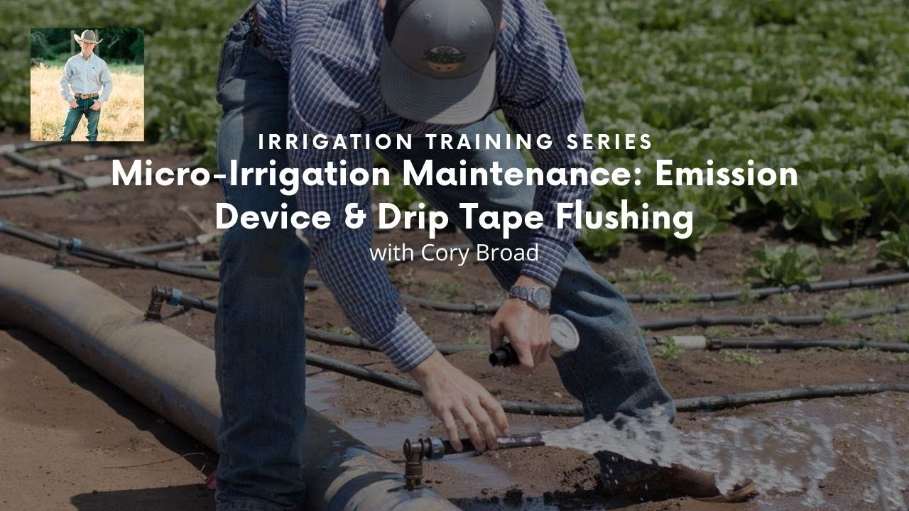 Micro-Irrigation Maintenance: Emission Device & Drip Tape Flushing | Cory Broad & Richard Restuccia