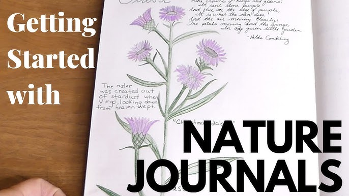 What is Nature Journaling? — Wild Wonder Foundation