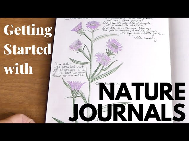 NATURE JOURNAL BASICS FOR BEGINNERS 