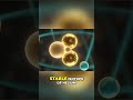Helium-3: The Moon's Secret To Clean Energy #shorts