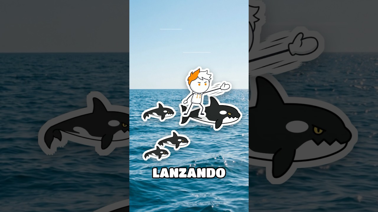 Miniatura: Cómo sobrevivir a Orcas en el Océano!