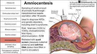 Prenatal screening, fetal testing, and other tests during pregnancy