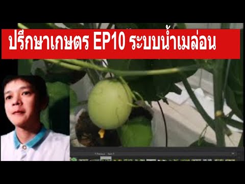 คุยเรื่องเกษตร EP10 สวนเมล่อน ผสมผสานระบบน้ำ