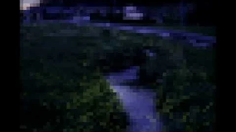 Ajoura - Fireflies Glow in the Dark