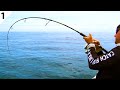 GIANT Yellowtail Kingfish & Snapper w/ Catch Fishing Tackle -- #FieldTrips New Zealand Ep 1