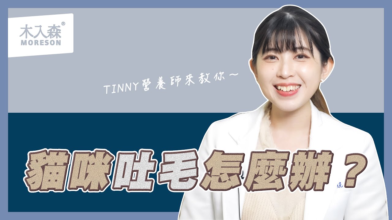 專家:貓咪嘔吐常見情況?5招祕技教你分辨怎麼看!