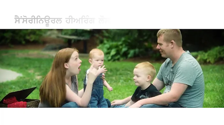 Sensorineural Hearing Loss (Punjabi)