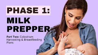 Mastering Breastfeeding The Ultimate Free Online Class For New Moms Milk Prepper Part 2