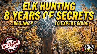 What we learned from 8 years of public land elk hunting. Tips for your first elk hunt!