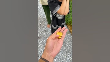 Ông nội tội nghiệp và Em bé dễ thương Rất buồn cười ￼🍒🍓🍉🍎 #shorts #cute dk