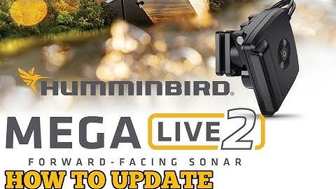 How to Update Mega Live 2