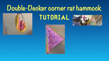Collaboration with Rat Tails & Grace’s Pet Life || DIY Double-Decker corner rat hammock