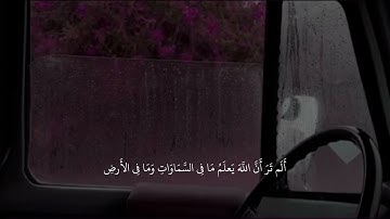 { يَومَ يَبعَثُهُمُ اللَّهُ جَمِيعًا فَيُنَبِّئُهُم بِمَا عَمِلُوا } ، شريف مصطفى سوره المجادله 🤍.
