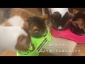 ある日の長楽寺