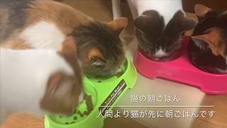 ある日の長楽寺