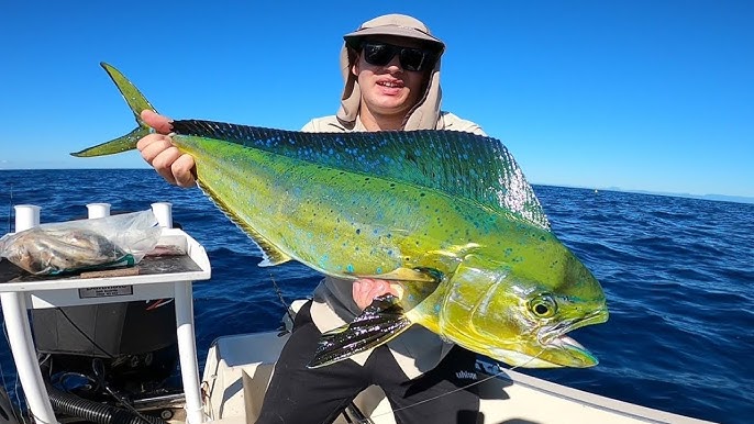 Gold Coast Whiting Fishing - Tips and Techniques - True Blue