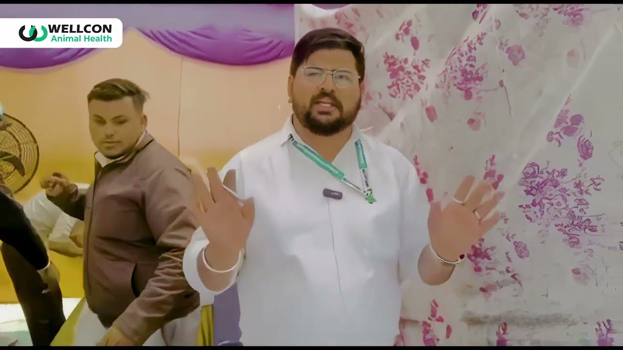 Cattle Problems & Solution | Wellcon's Products explained in Hindi 