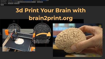 3D Print Your Brain Using brain2print.org!