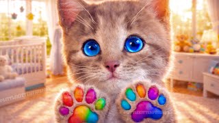 cute cat animated story of meow 0602