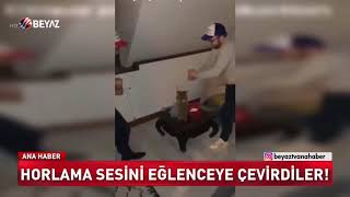 HORLAMA SESİNİ EĞLENCEYE ÇEVİRDİLER! Resimi