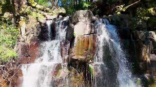 A Hidden Waterfall In The Napa Valley!!  (Angwin CA)