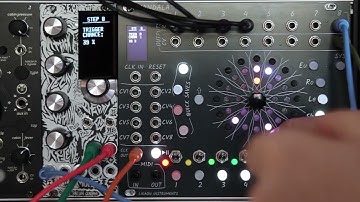 Mandala mk2 tutorial 7: randomization - chance at track level and step level.