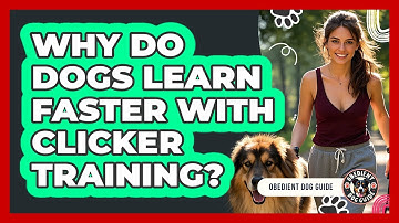 Why Do Dogs Learn Faster With Clicker Training? - Obedient Dog Guide