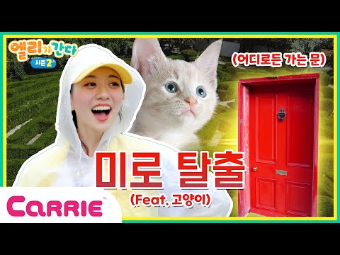 미로로 생긴 고양이 왕국🐱 | 미로 대탈출! | 엘리가 간다 시즌2