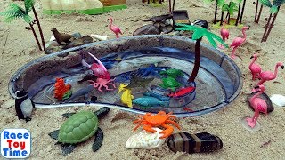 Download Fun Sea Animals Toys In The Sandbox For Kids - Learn Animal Names Video MP3 Fun Sea Animals Toys In The Sandbox For Kids - Learn Animal Names