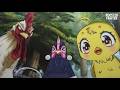 Toonami 6 7 26 Rooster Fighter Marathon 
