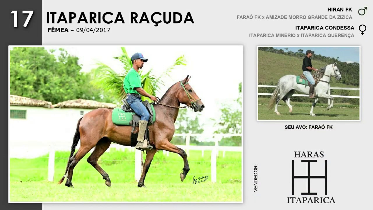 17 - ITAPARICA RAÇUDA