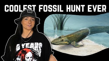 The Discovery of the "Missing Link" | Lindsay Nikole