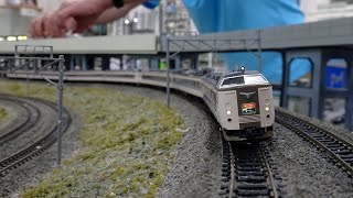 JR 183系特急「はしだて」「まいづる」inRailGarden