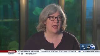 Making museums autism accessible!