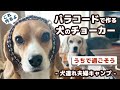 パラコードで作る犬のチョーカー