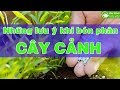 Quyền chọn nhị phân Việt Nam - YouTube